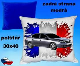 13267-renault-latitude-hot.jpg
